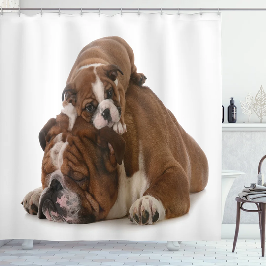 Bimlesh 13 Piece Polyester Shower Curtain Set