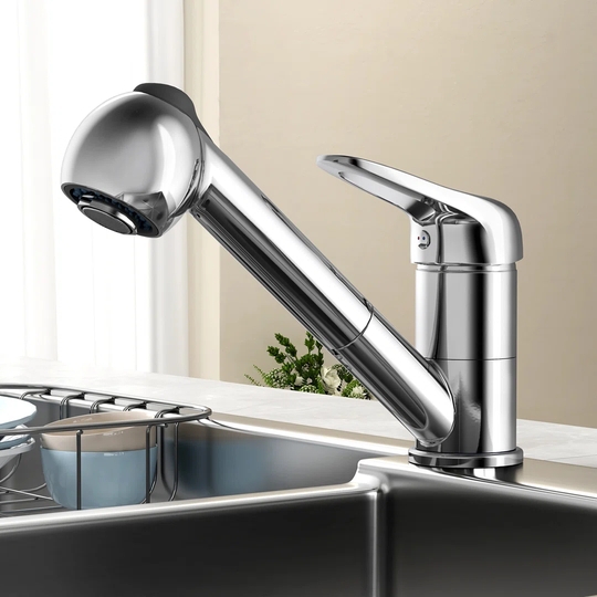 Single Lever Monobloc Tap with 2 Jet Types