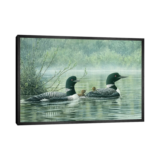 'Northern Reflections - Loons' by Don Li-Leger - Floater Frame Graphic Art Print on Canvas