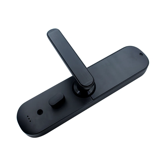 Alice-Anna Wifi Smart Keyless Entry Left Hand Door Handle