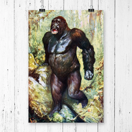 'Vintage Natural History Gorilla' Graphic Art
