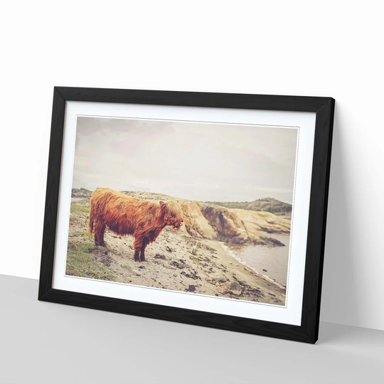 'Highland Cow Landscape' Framed Photographic Print