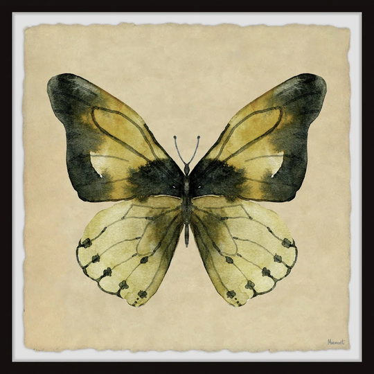 "The Tropical Butterfly" Framed Painting Print