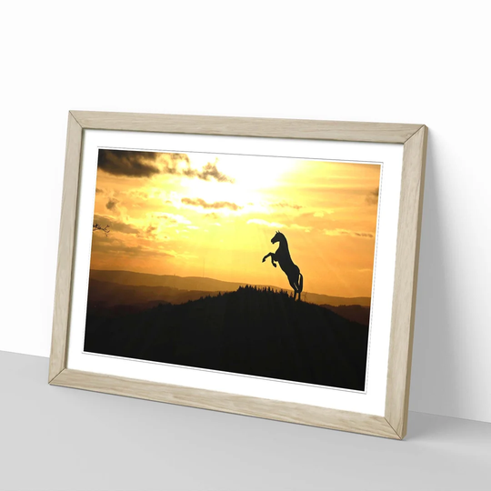 'Horse in Sunlight Landscape' Framed Photographic Print