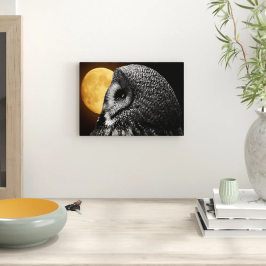 'Owl & Moon' Graphic Art