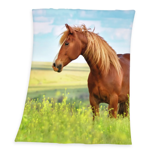 Young Horse Bedspread