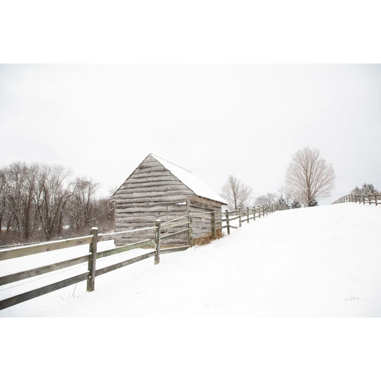 Fenced in by Aledanda - Wrapped Canvas Photograph