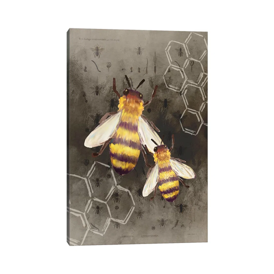 Bee Charmer II - Art Prints on Canvas