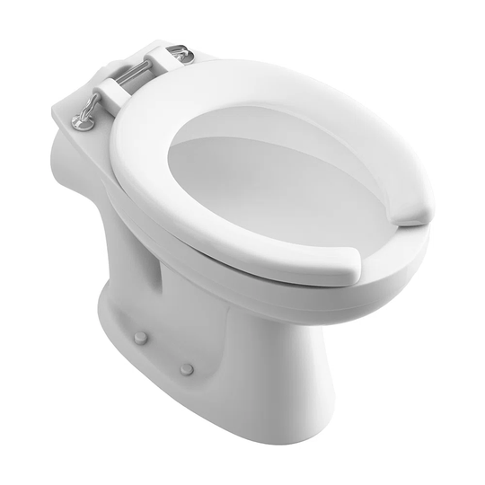 Reedsburg Low Level Toilet with Dual Flush