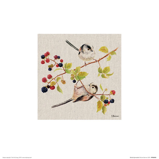 'Birdie Gymnastics' Painting on Wrapped Canvas