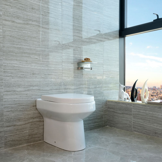 Aica Sanitär - Back To Wall Toilet Ceramic Pan Cloakroom Soft Close Seat Bathroom wc Modern btw - White