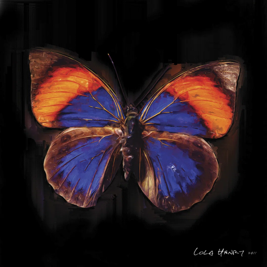 Techno Butterfly III - Wrapped Canvas Painting