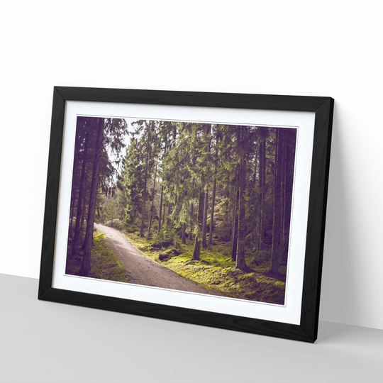 'Landscape Woodland Path' Framed Photographic Print