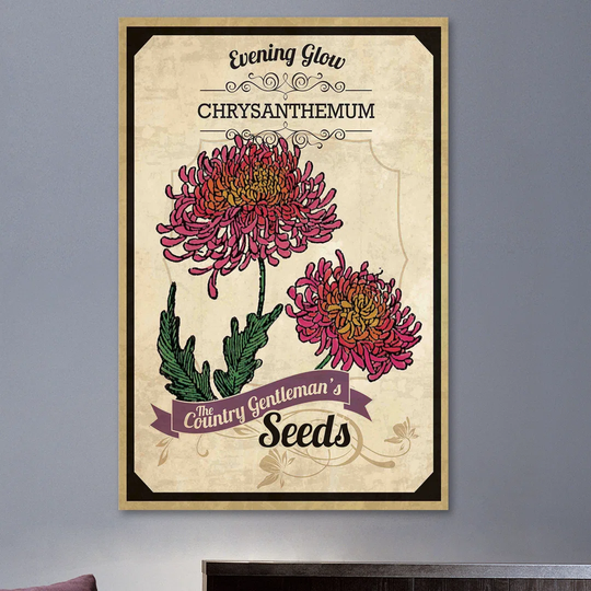 Flower Packet Chrysanthemum - Wrapped Canvas Advertisement Print