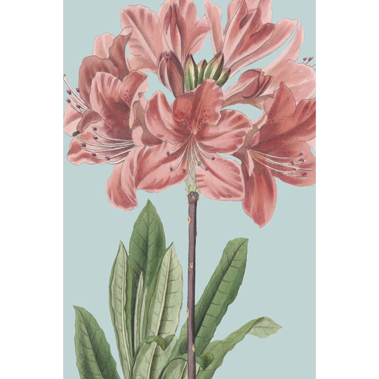 Fresh Florals III