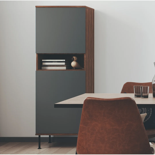 Mangum 2 Door Cabinet