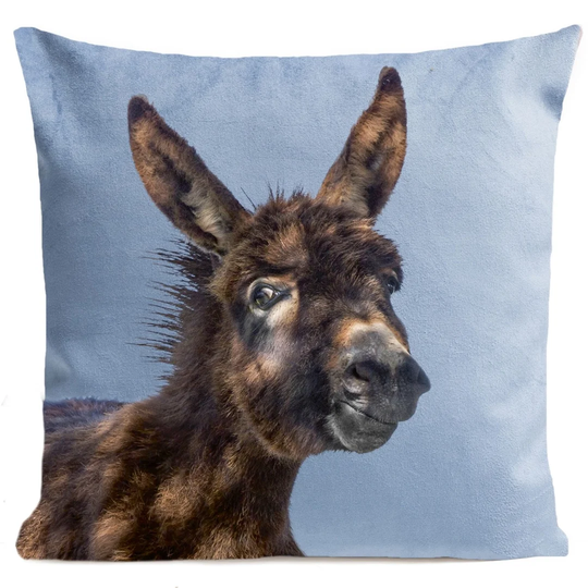 Polegate Baby Donkey Cushion Cover