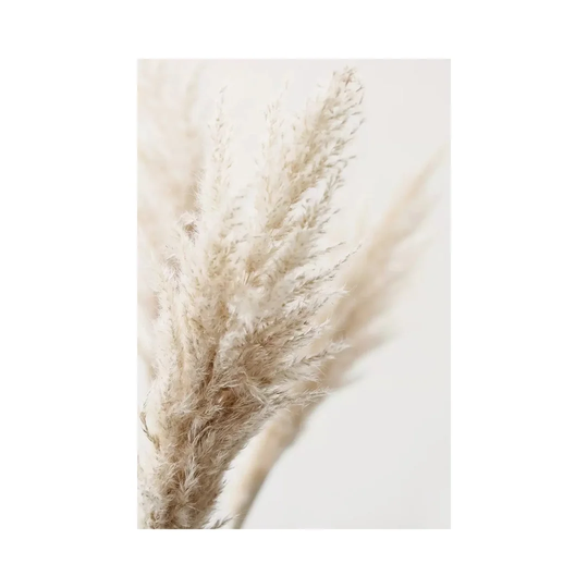Pampas Reed III by Monika Strigel - Photograph on Canvas