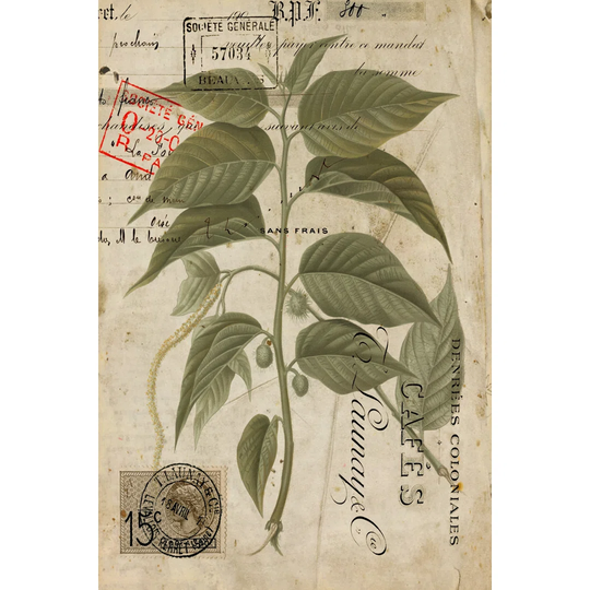 Vintage Nature's Greenery II by Cartissi - Wrapped Canvas Painting Print