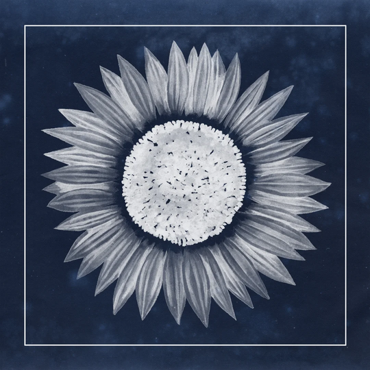 Moon Flower IV by Grace Popp - Wrapped Canvas Painting
