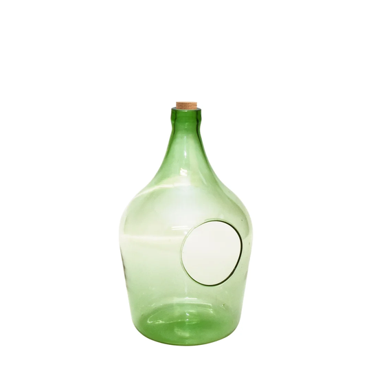 Wedemeyer Glass Wall Planter