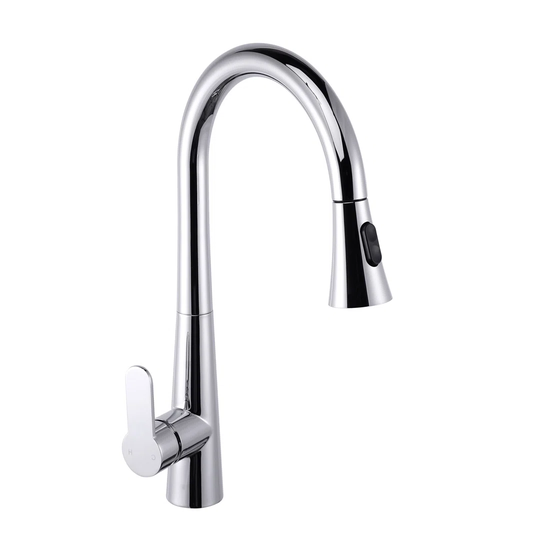 Galvez Pull Out Single Lever Monobloc Tap with Spray