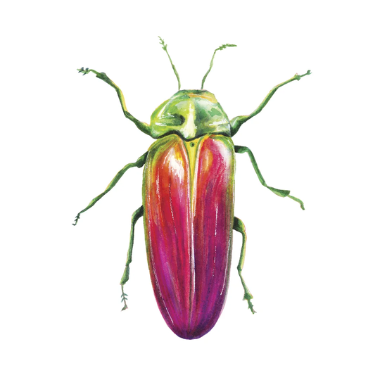 Buggin out II by Larisa Hernandez - Wrapped Canvas Painting