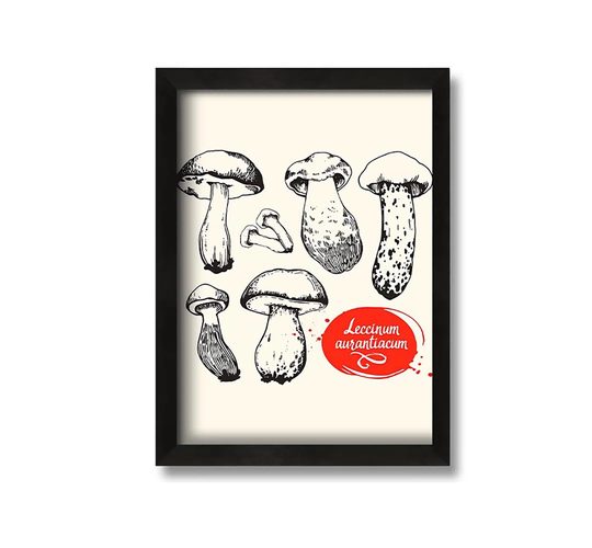 Mushrooms - Picture Frame Drawing on Canvas