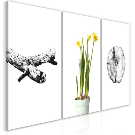 'Nature' - 3 Piece Wrapped Canvas Graphic Art Print Set