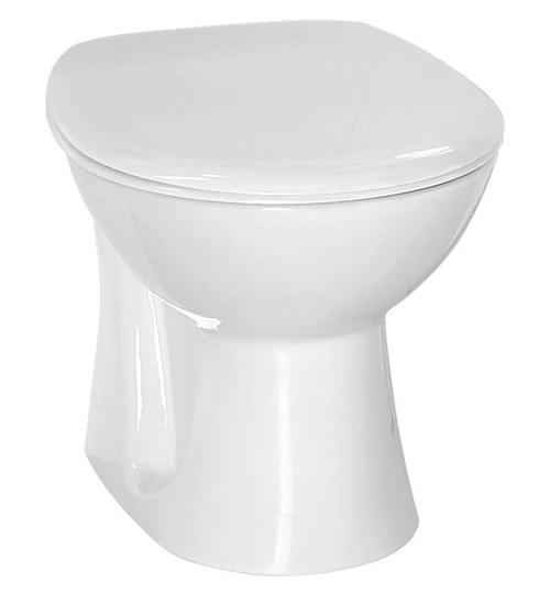 Viens Back to Wall Toilet with Soft Close Seat