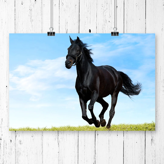 'Black Horse Running' Graphic Art