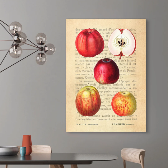 Apple, After Redouté by Remy Dellal - Wrapped Canvas Graphic Art Print