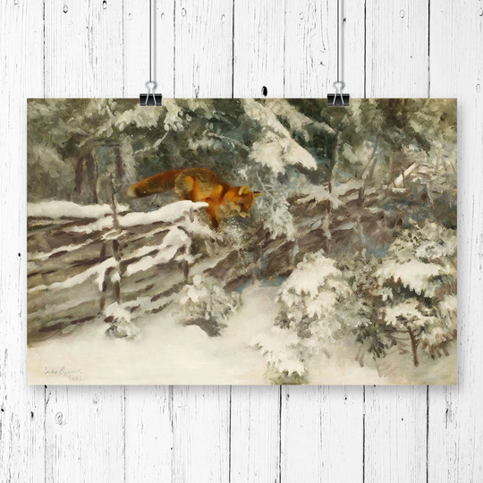 'Fox in the Snow' by Bruno Liljefors Printing Print