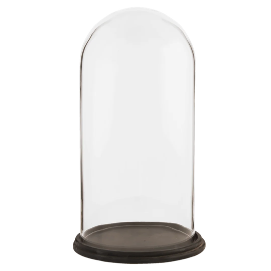 Herbert Food Bell Cloche