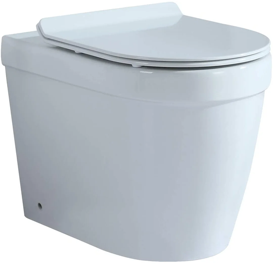 Iulger Back to Wall Toilet with Soft Close Seat
