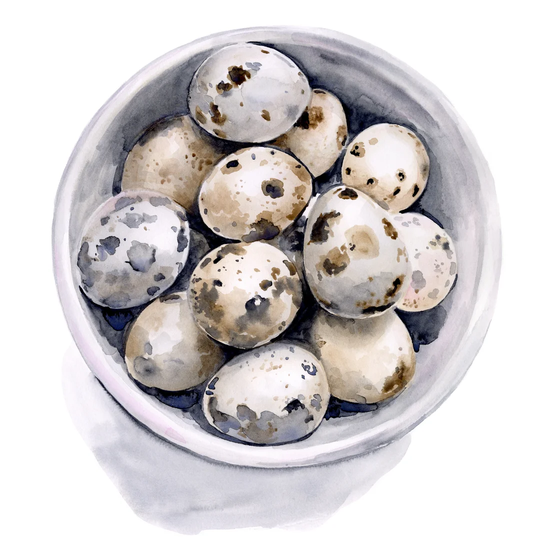 Quail Egg Study II by Jennifer Paxton Parker - Wrapped Canvas Painting
