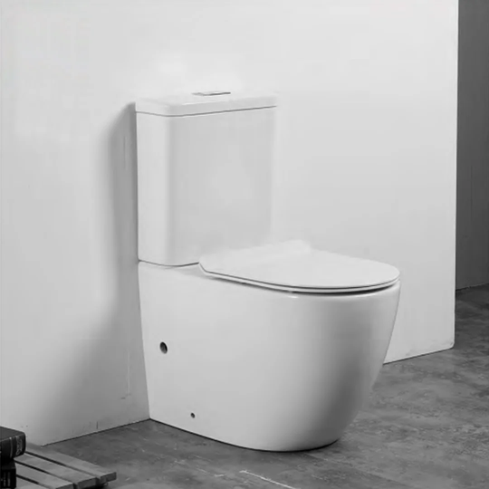 Favorinus Close Coupled Toilet with Button Flush and Soft Close Seat