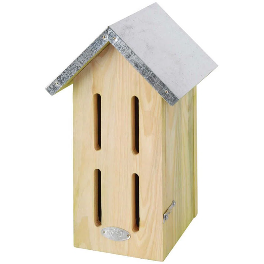 Wynkoop Mounted Butterfly House