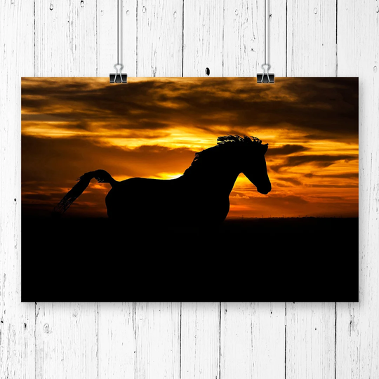 'Horse Sunset' Graphic Art