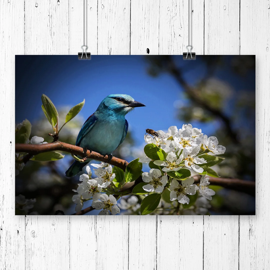 'Blue Bird and Cherry Blossom Tree' Graphic Art