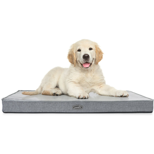 Dog Bed - Medium 74x48cm, 7cm Thick Memory Foam for Good Support - Waterproof Orthopedic Dog Bed with Soft Washable Cover Easy to Clean for Cats Dogs