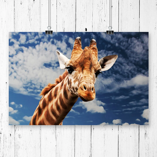 'Giraffe' Graphic Art