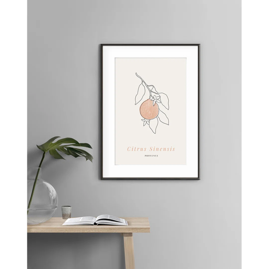 Citrus Sinensis - Picture Frame Graphic Art Print on Paper