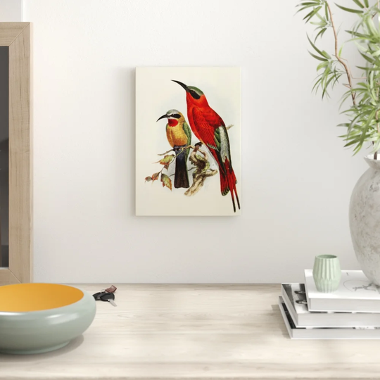 'Vintage Natural History Bee-eaters' Painting Print