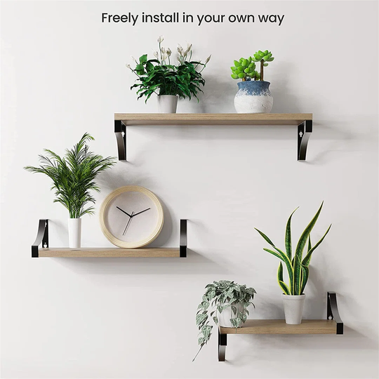 Shrum 3 Piece Paulownia Solid Wood Floating Shelf Set