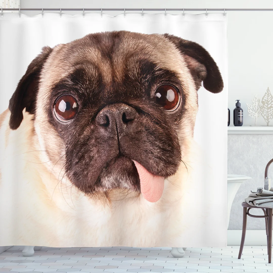 Bilguun 13 Piece Polyester Shower Curtain Set