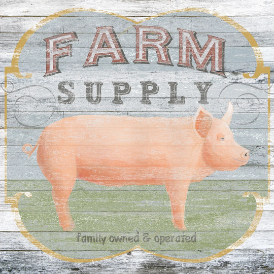 Farm Supply II by June Erica Vess - Wrapped Canvas Painting