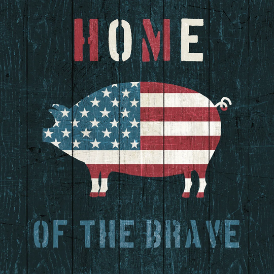 American Farm Pig by Michael Mullan - Wrapped Canvas Typography Print