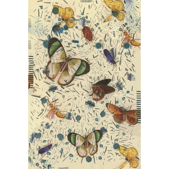 Confetti With Butterflies III - Wrapped Canvas Graphic Art