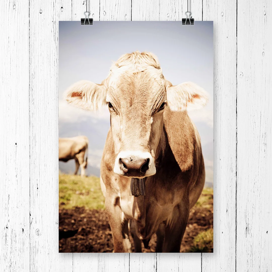 "Cow in the Field" Graphic Art